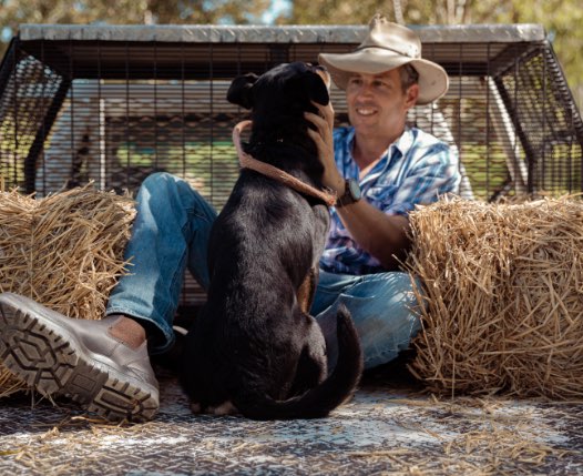 MONGREL Non-Safety Elastic Sided Boot - 916020