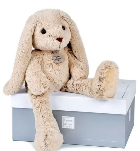 Plush Bunny in Gift Box and Embroidered name on ear
