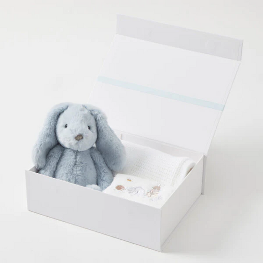 Jiggle & Giggle - Blue Hamper set
