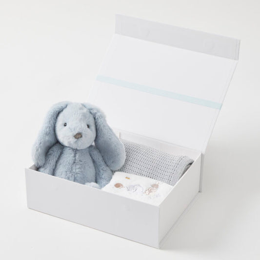 Jiggle & Giggle - Blue Hamper set
